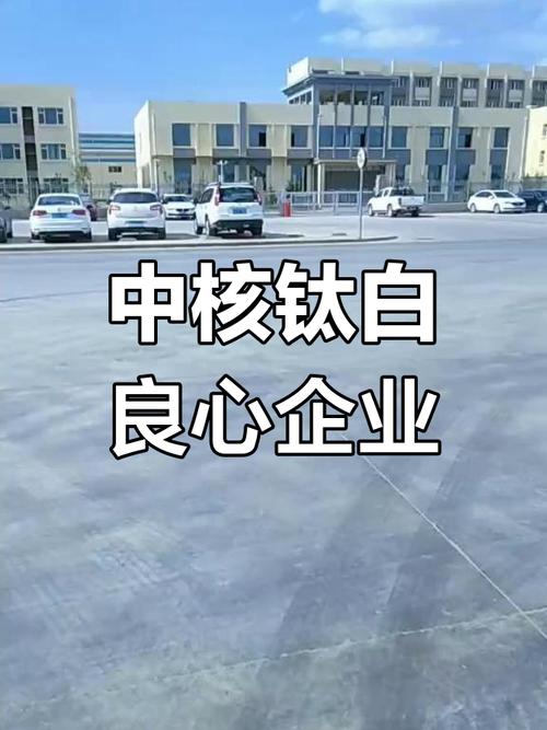 300348是信創(chuàng)概念嗎，300348中核鈦白